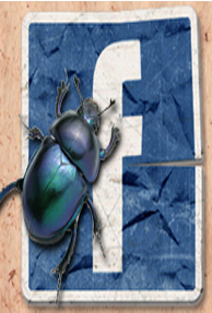 Spies Create Top NATO Commander's Fake Facebook Profile